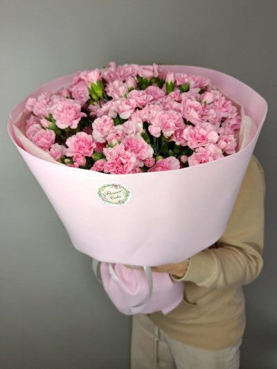 Букет «Розовые гвоздики» Букет «Розовые гвоздики»